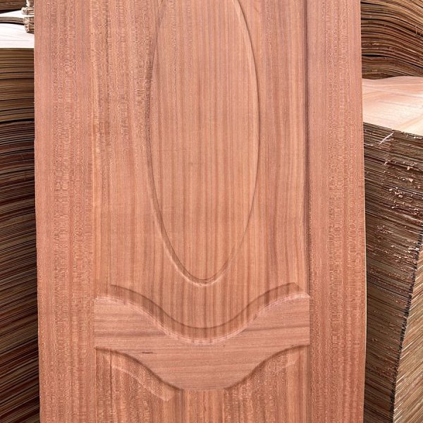 Eclipse Oval Molded Flush Door